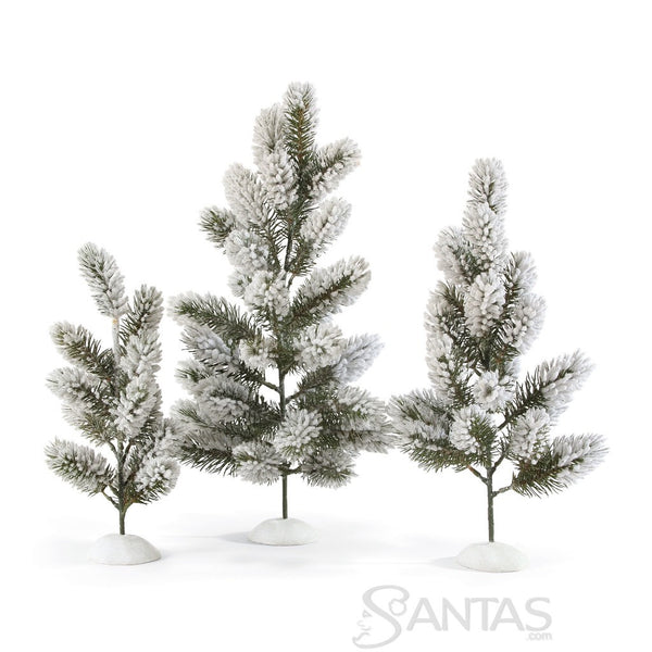 Rustic Pine Trees Possible Dreams